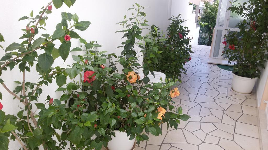 Apartments & Rooms Anita Hvar Town Exterior photo