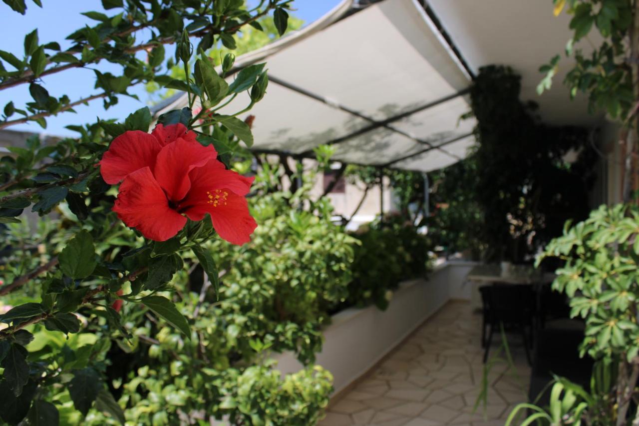 Apartments & Rooms Anita Hvar Town Exterior photo